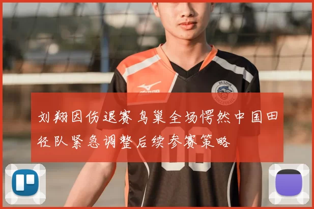 刘翔因伤退赛鸟巢全场愕然中国田径队紧急调整后续参赛策略