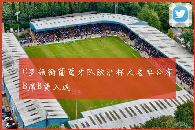 C罗领衔葡萄牙队欧洲杯大名单公布B席B费入选