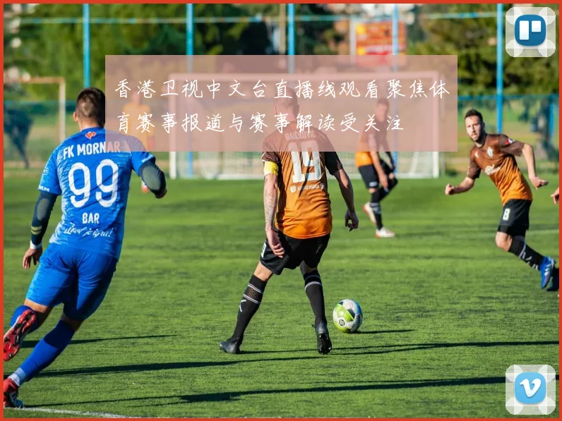 香港卫视中文台直播线观看聚焦体育赛事报道与赛事解读受关注